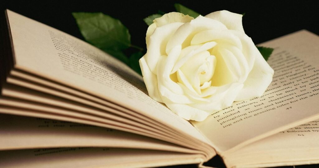 Sakoon Poetry Love