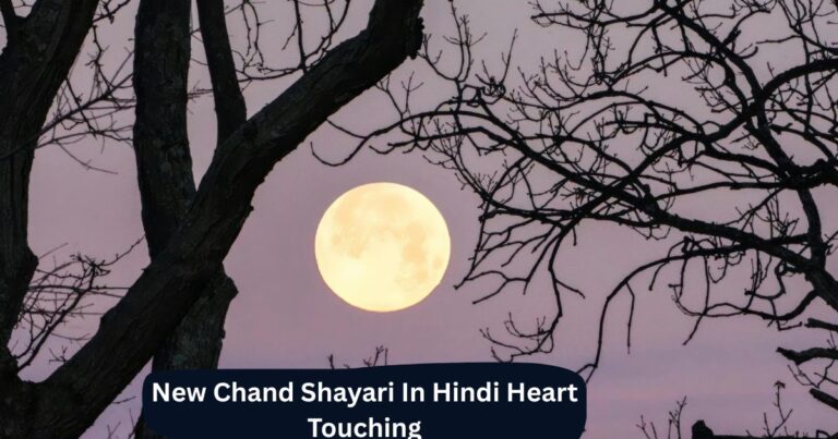 Chand Shayari In Hindi