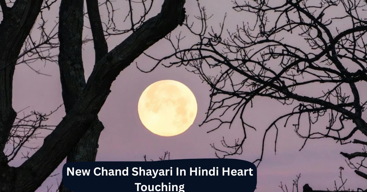 Chand Shayari In Hindi