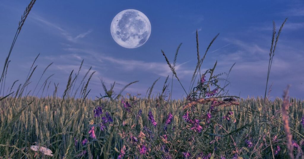 Deep Moon Quotes