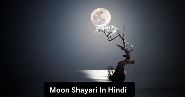 Moon Shayari