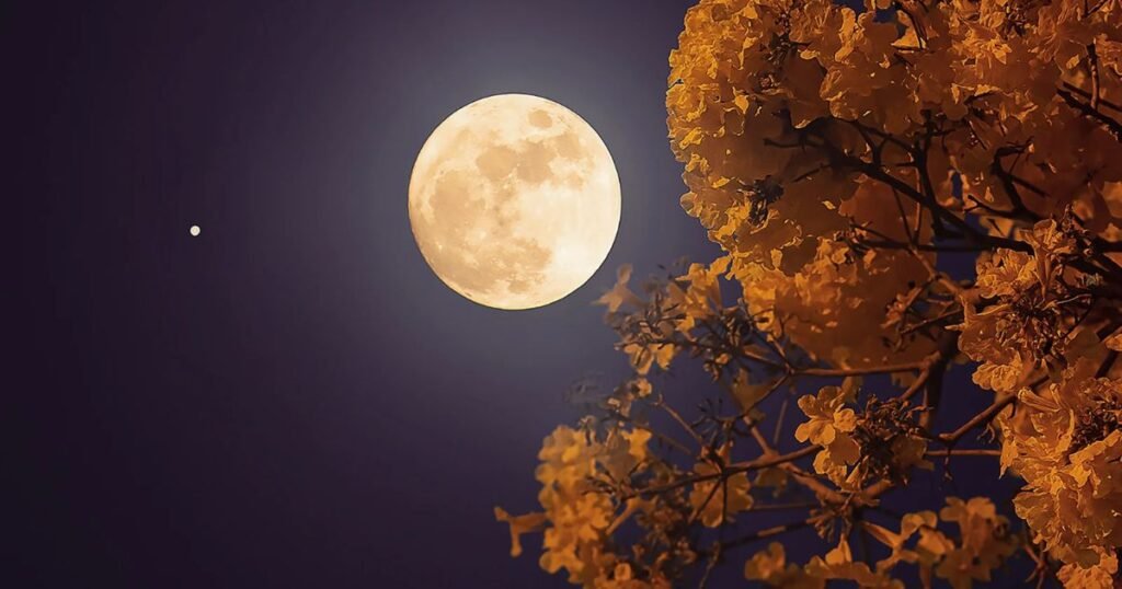 Moon shayari
