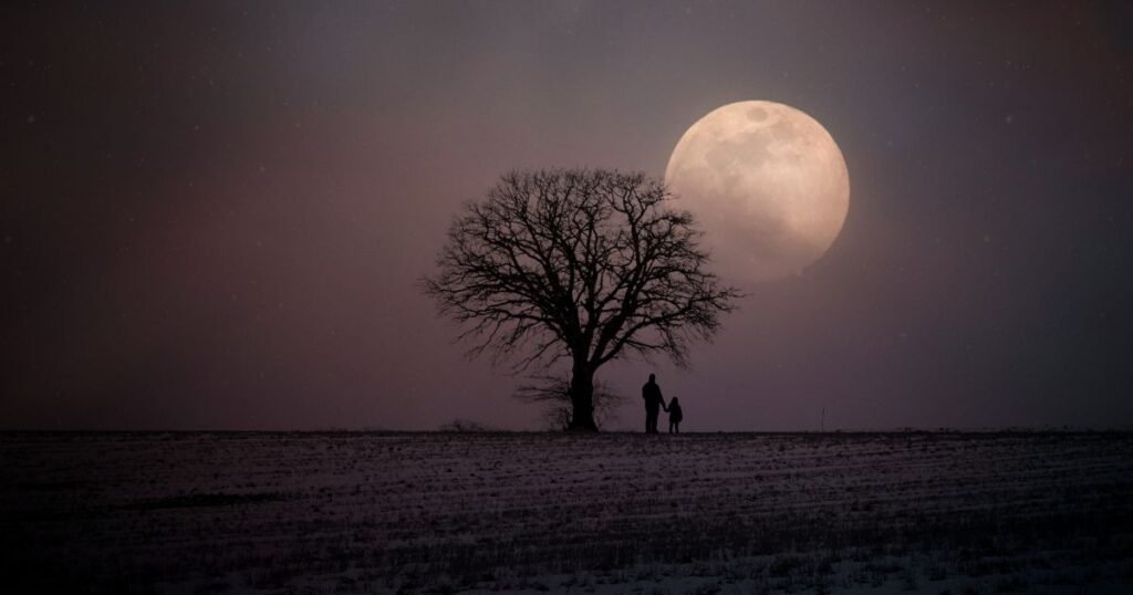 Moon shayari on life