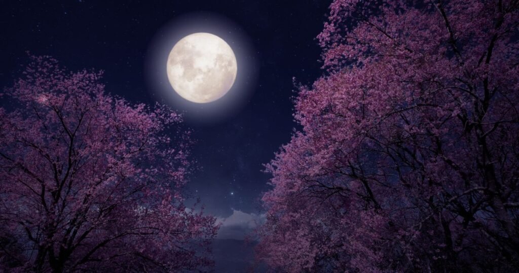 Moon shayari on life for girl
