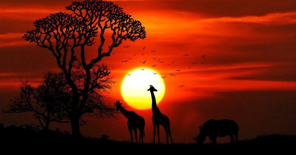 Poetry on sunset love