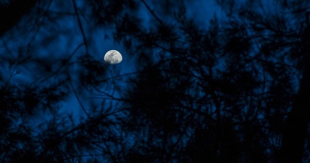 Romantic Moon quotes