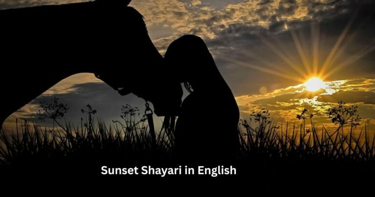 Sunset Shayari in English