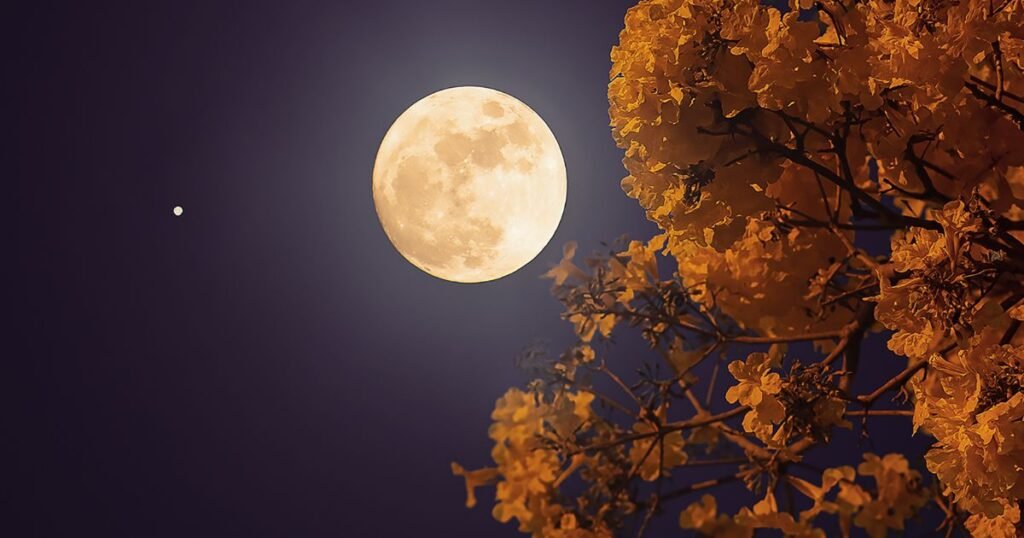 beautiful moon quotes