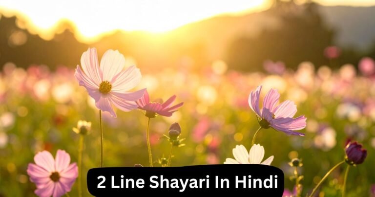 2 Line Shayari In Hindi